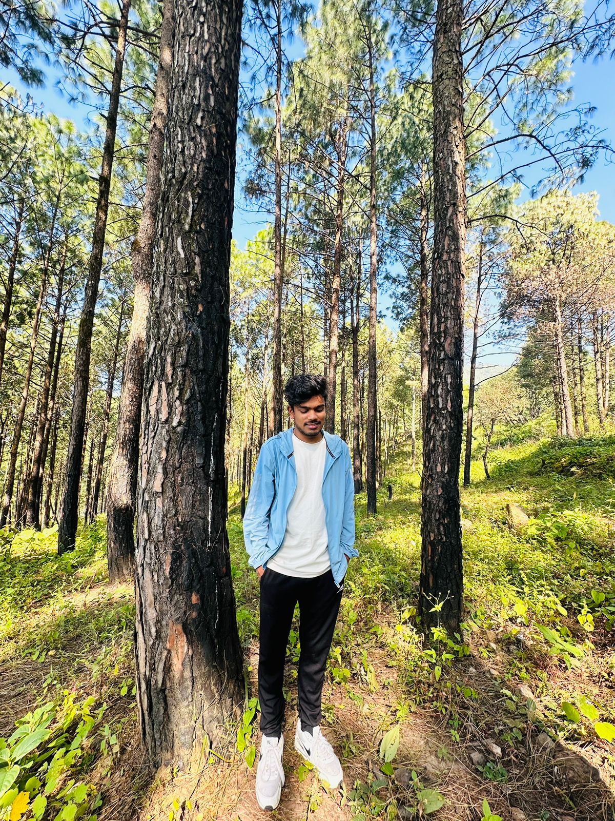 Monu Siddhique